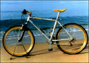 Elba Bike Rental ElbaService