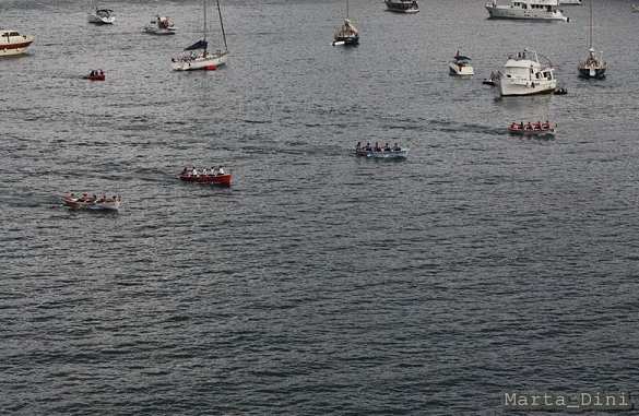 Rowing Palio Remiero Elbano