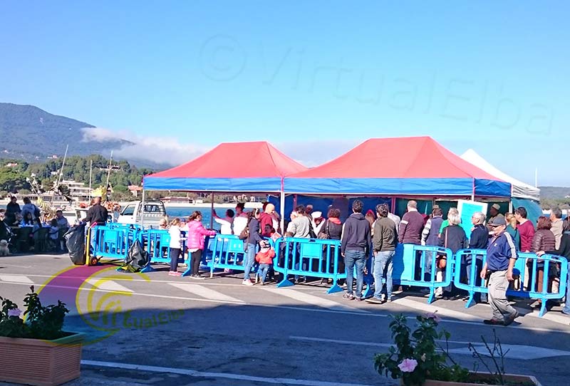 Marina di Campo squid gastronomic festival