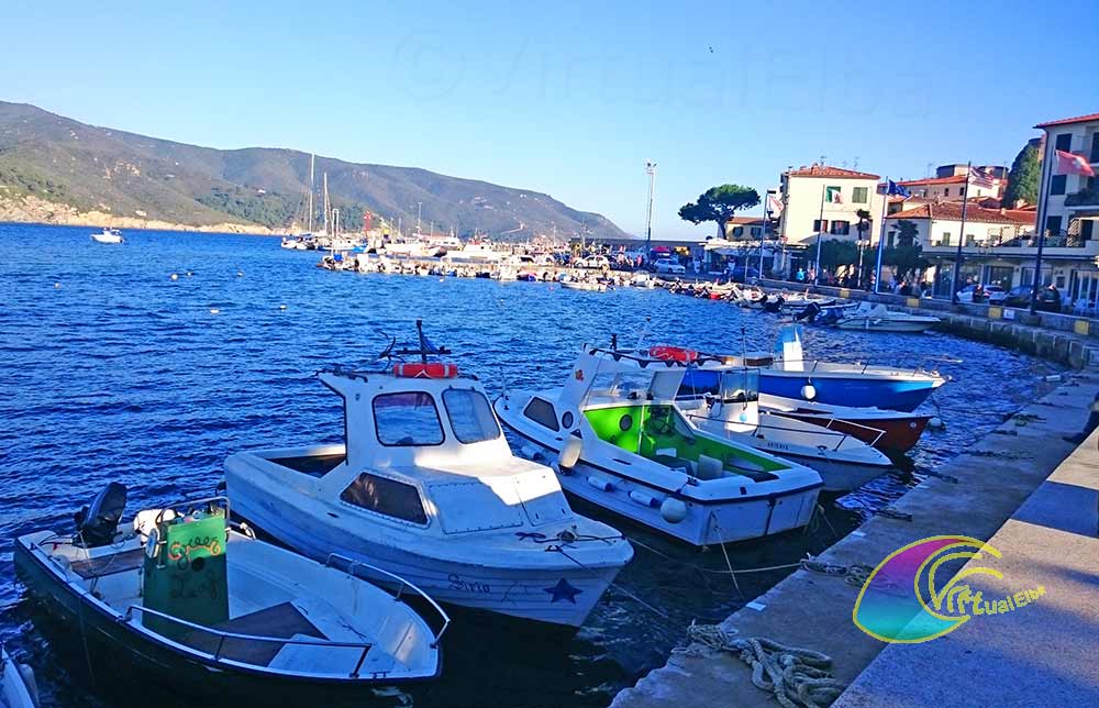 Squid competition with gastronomic festival in Marina di Campo