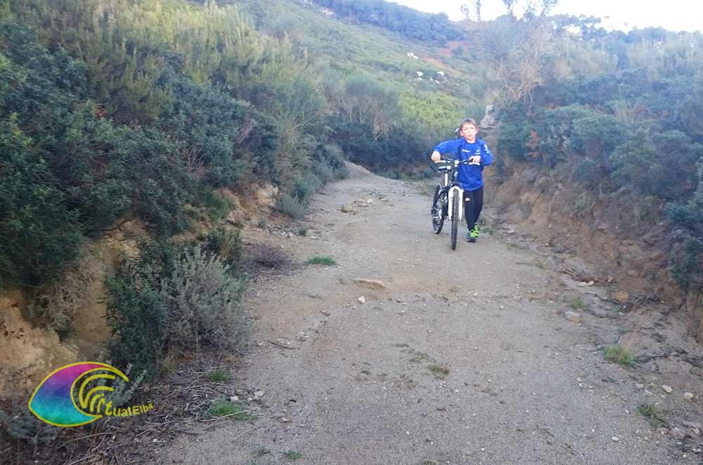 The road to Domolito