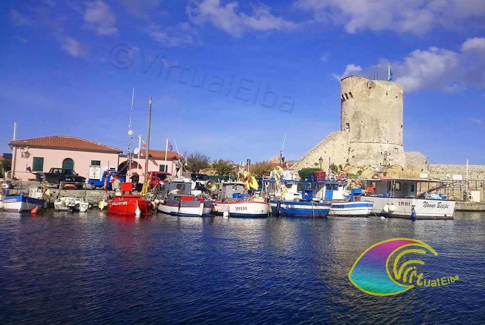 Fishing boats and the Marciana Marina Tower