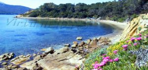 Small beach Guardiola Procchio