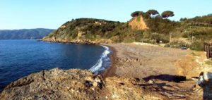Reale beach