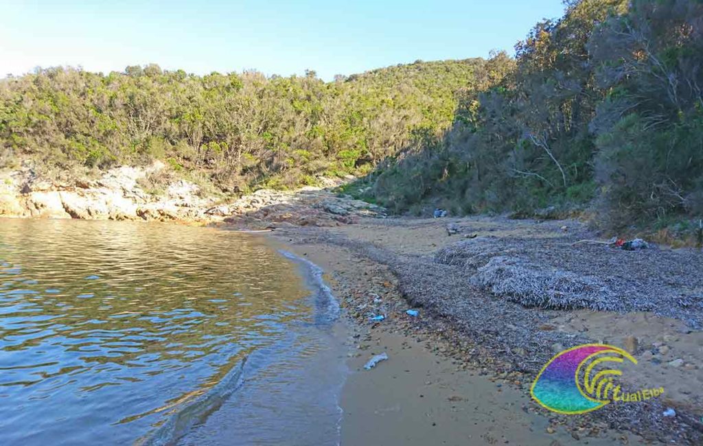 Porticciolo beach Procchio