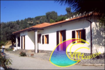 House Agency Soltur