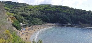 The Barabarca beach Capoliveri