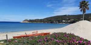 Elba Campo Aia Beach Procchio
