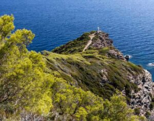 Gorgona Island